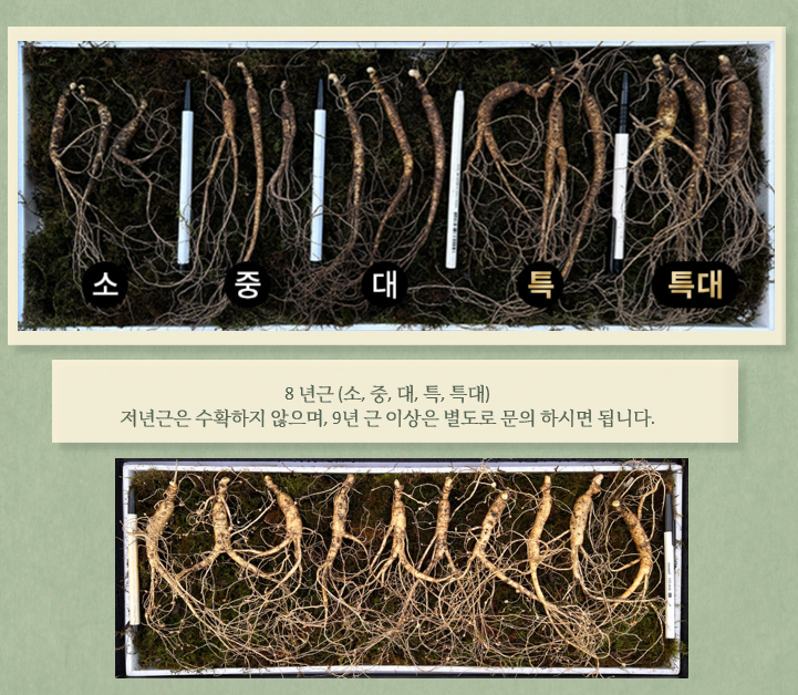 화면 캡처 2024-07-19 144412